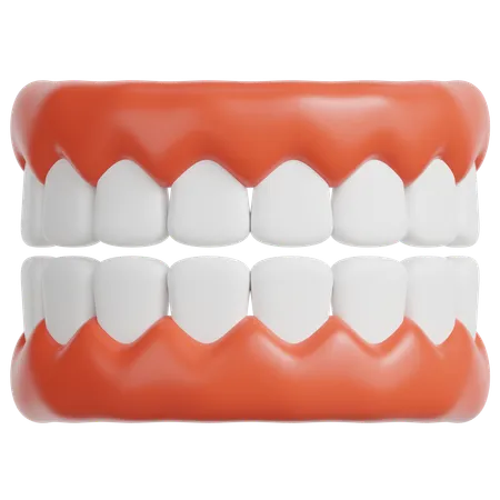 Dentier  3D Icon