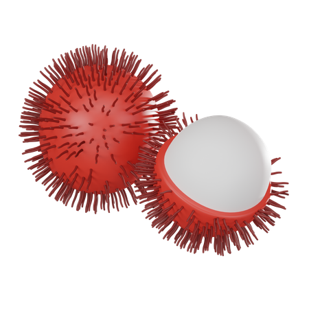 Rambutão  3D Icon