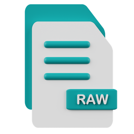 Raw File  3D Icon