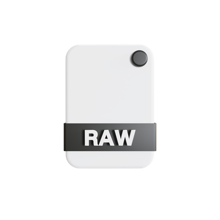 Raw File  3D Icon