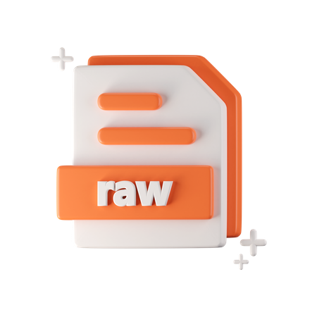 Raw File  3D Icon