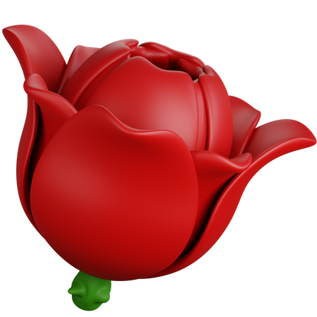 Red Rose  3D Icon