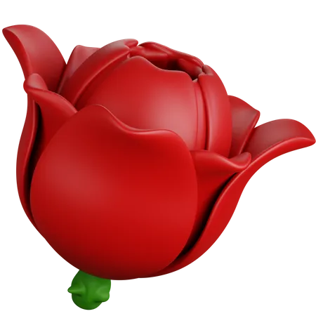 Red Rose  3D Icon