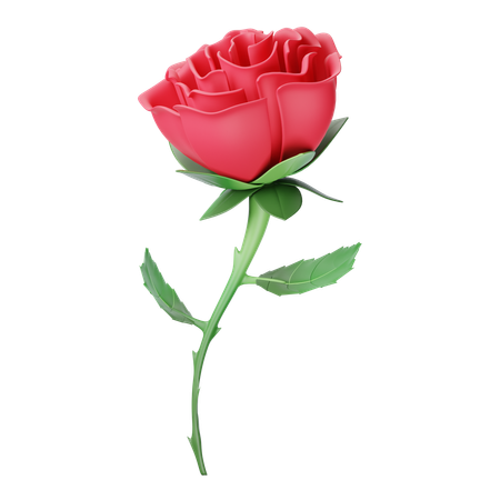 Rose  3D Icon