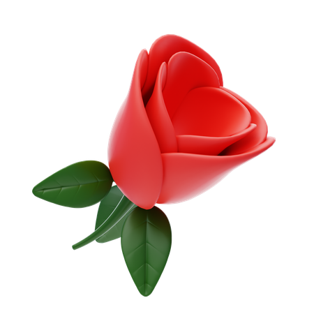 Rose  3D Icon