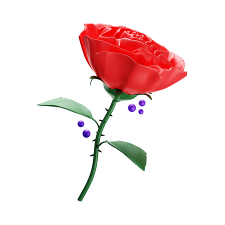 Rose  3D Icon