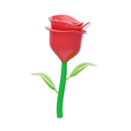 Rose  3D Icon