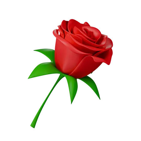 Rose  3D Icon