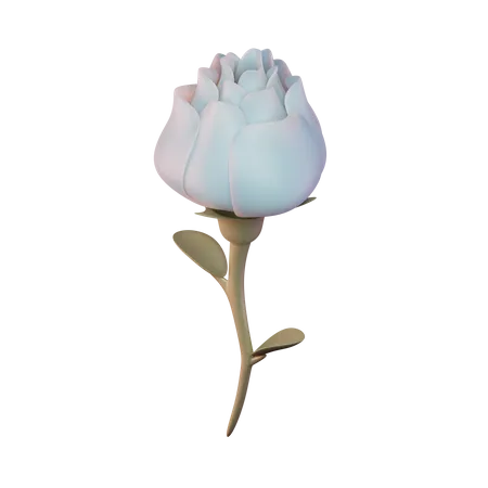 Rose  3D Illustration