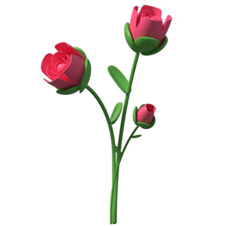 Rose  3D Illustration