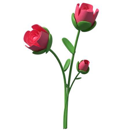 Rose  3D Illustration