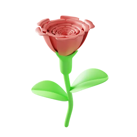 Rose  3D Illustration