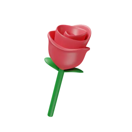 Rose  3D Icon