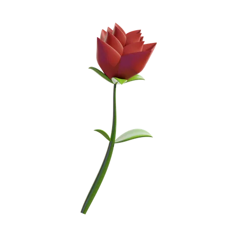 Rose  3D Icon