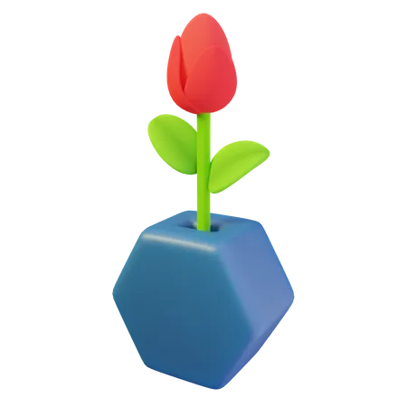 Rose  3D Illustration