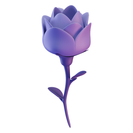 Rose  3D Illustration