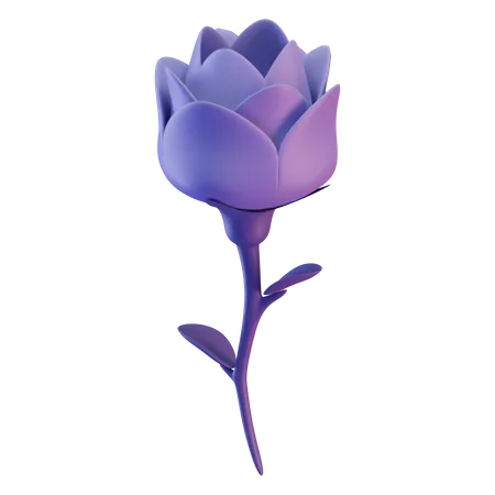 Rose  3D Illustration