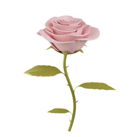 Rose  3D Illustration