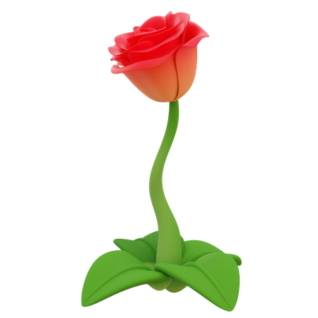 Rose  3D Icon