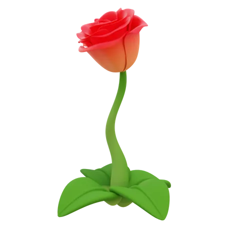 Rose  3D Icon