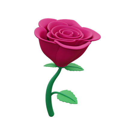 Rose  3D Icon