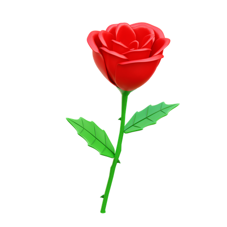 Rose  3D Icon