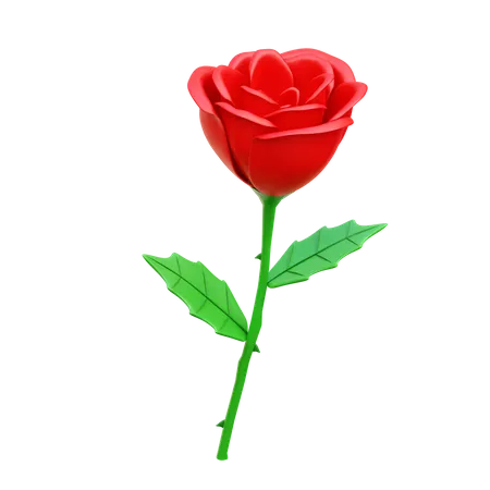 Rose  3D Icon