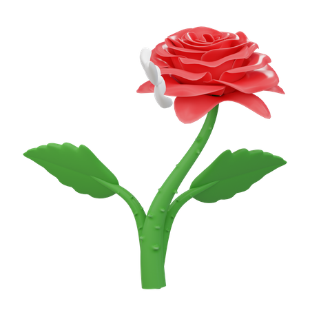 Rose  3D Icon