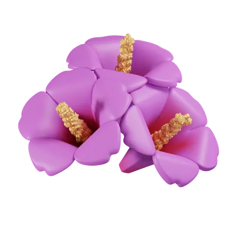 Rose of Sharon  3D Icon