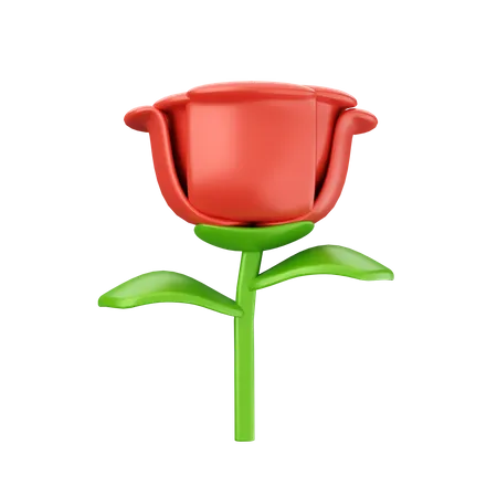 Rose  3D Icon