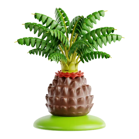 Sago Palm  3D Icon