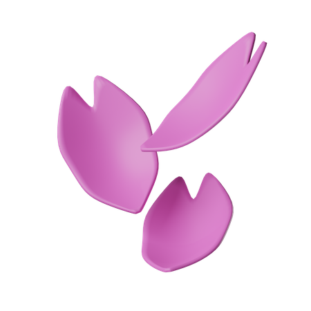 Sakura  3D Icon