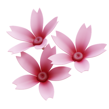 Sakura-Blume  3D Icon