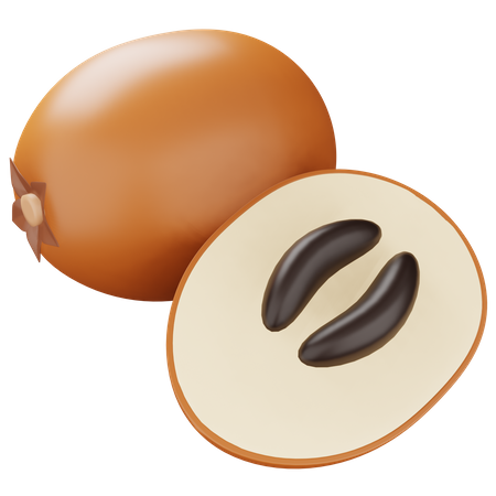 Sapodilla  3D Icon