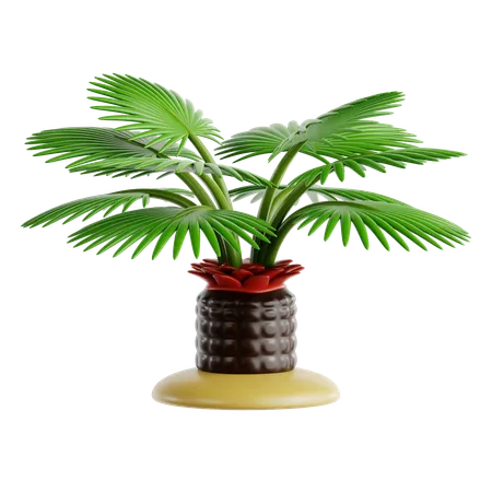 Saw Palmetto  3D Icon