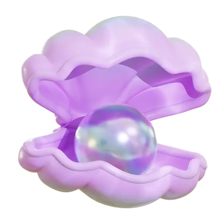 Scallop Shell With Pearl  3D Icon