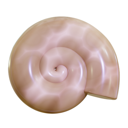 Sea Shell  3D Icon