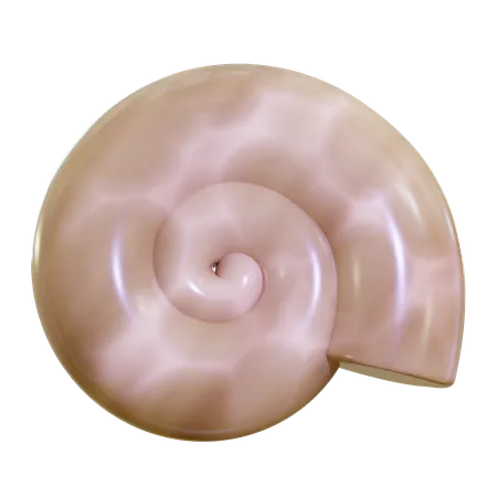 Sea Shell  3D Icon