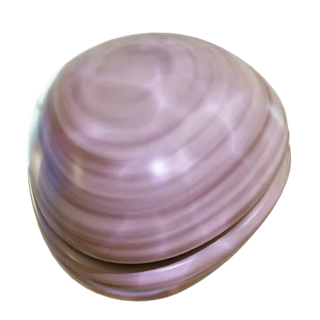 Sea Shell  3D Icon