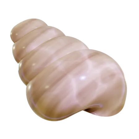 Sea Shell  3D Icon