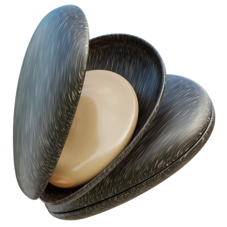 Sea ​​shells  3D Icon