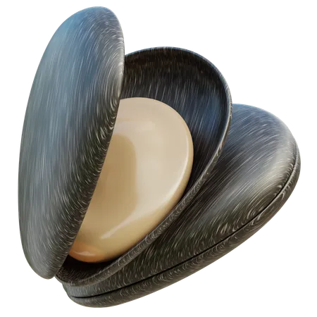 Sea ​​shells  3D Icon