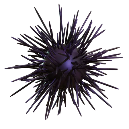 Sea Urchin  3D Icon