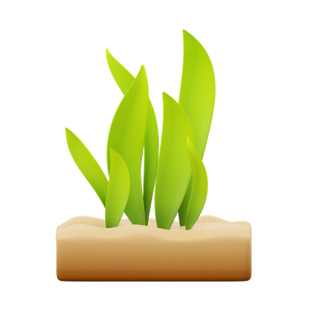 Seaweed  3D Icon