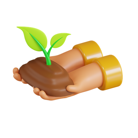 Seed Plant  3D Icon