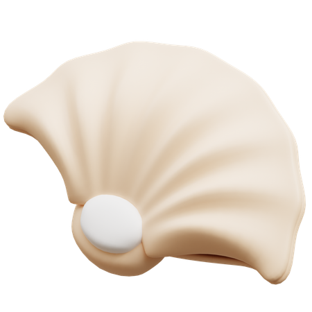 Shell  3D Icon