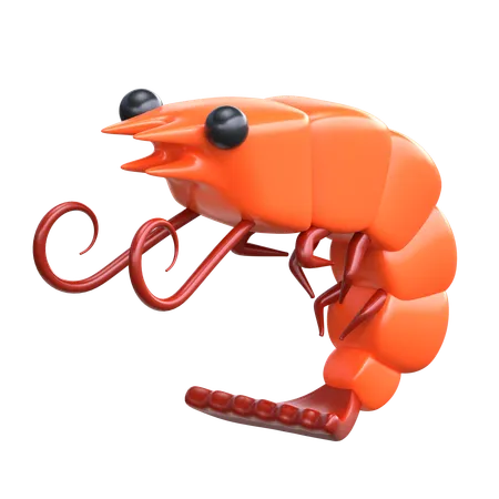 Shrimp  3D Icon