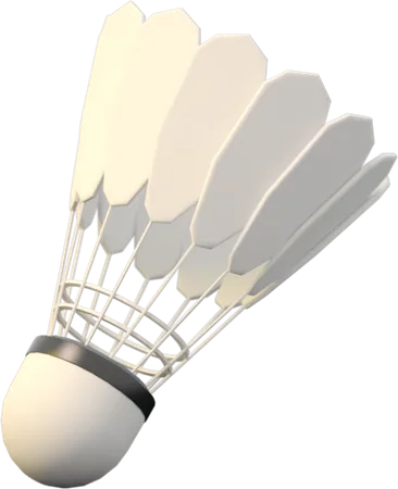 Shuttlecock  3D Icon