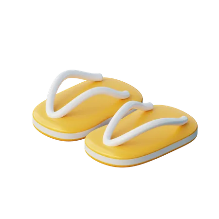 Slippers  3D Illustration