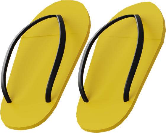 Slippers  3D Illustration